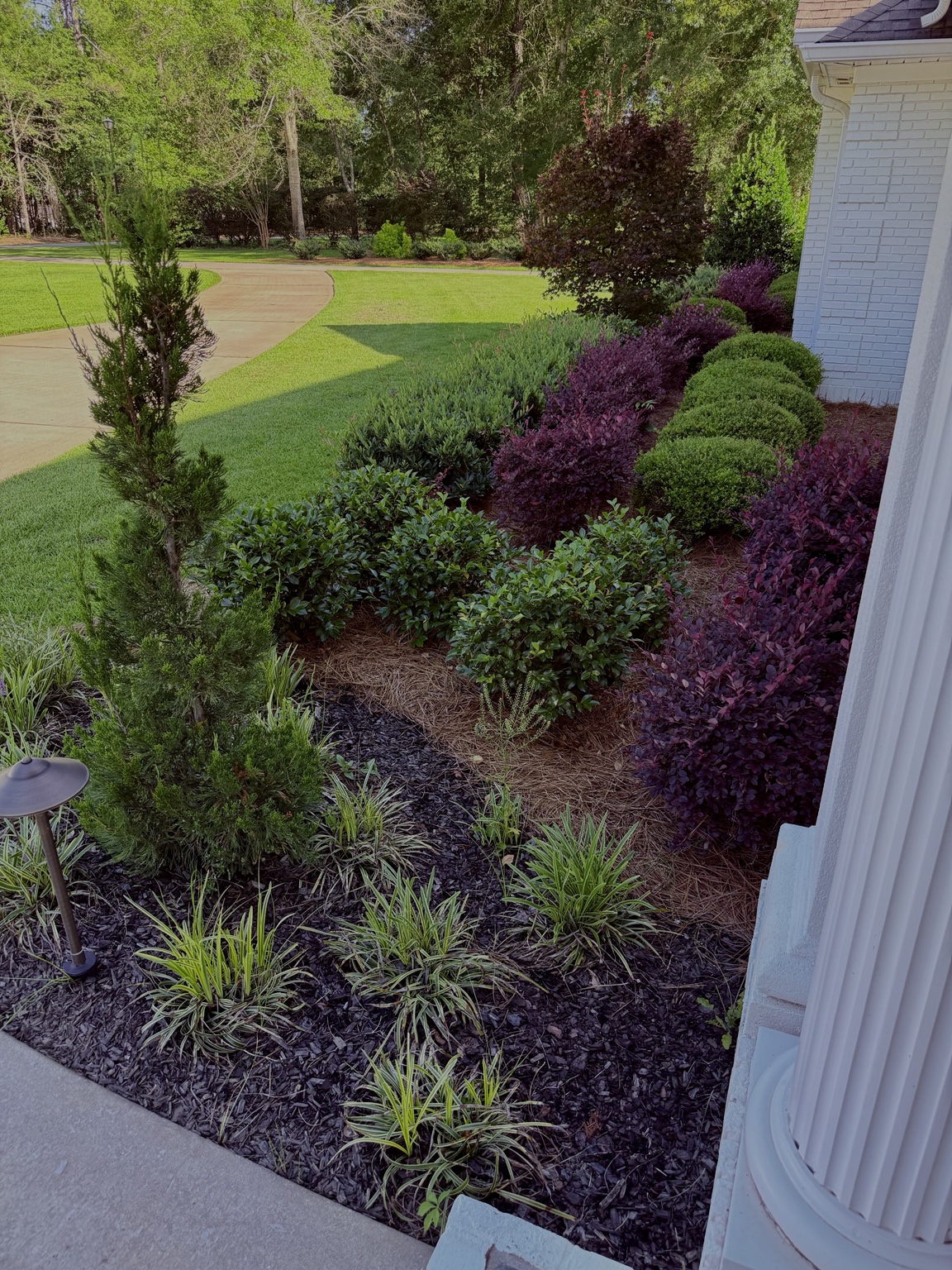Layered shrubs and ornamental planting alongside a front porch